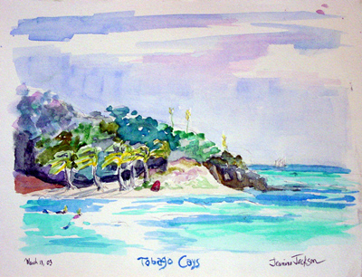 Snorkeling at Tobago Cays